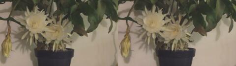 DSCF5285 s1
