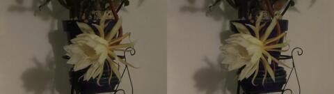 DSCF5342 s1
