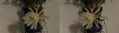 DSCF5358 s1