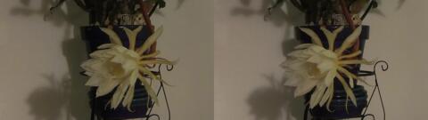 DSCF5360 s1