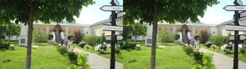 DSC08140