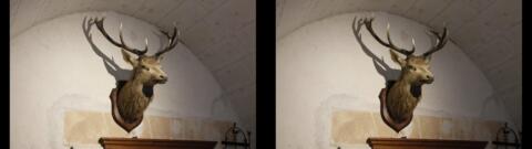 salle à manger du personnel du château en sous-sol