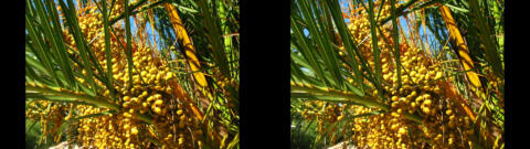 IMG 2975s