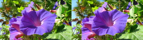 IMG 2989s