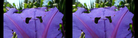 IMG 3007s