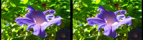 IMG 3012s