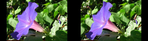 IMG 3018s