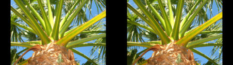 IMG 3224s