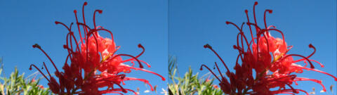 IMG 3247s