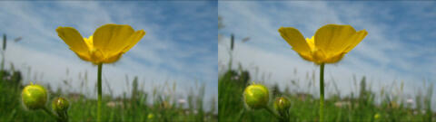 IMG 3698s