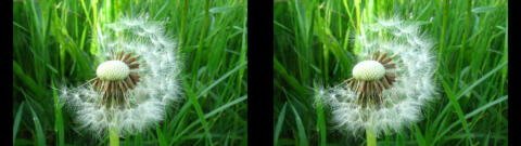 IMG 3768s