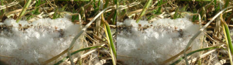 IMG 3784s