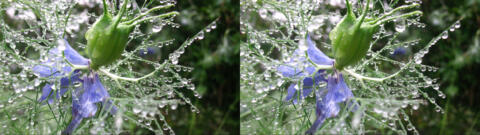IMG 3885s