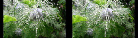 IMG 3893s