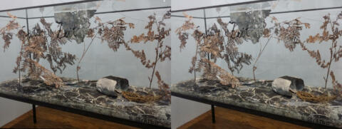 Beaubourg, Expo Anselm Kiefer