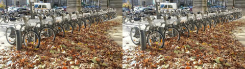 Automne sous le métro aérien