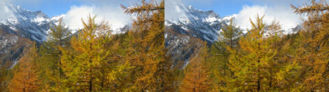 Neige La Chalp