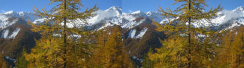 Neige La Chalp