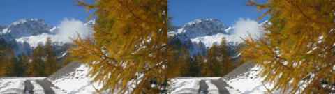 Neige La Chalp