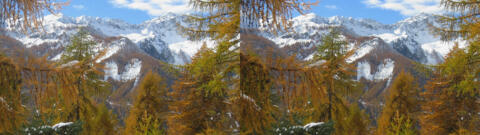 Neige La Chalp