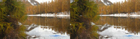 Neige La Chalp