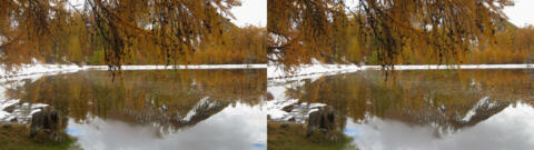 Neige La Chalp