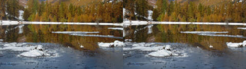 Neige La Chalp