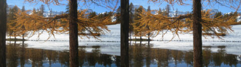 Neige La Chalp