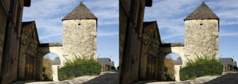 stamandcoly 018