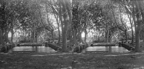 BAL 0074 006