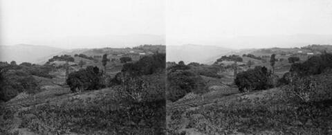 Nador (djebel ?)