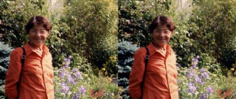 Chez un voisin de Gif-sur-Yvette qui proposait la visite publique de son jardin privé.