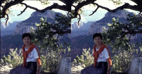 Au Grand Canyon, au cours d'un tour des USA avant le congrès ISU d'Atlanta en 1995.