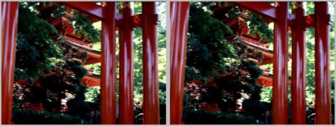 Jardin japonais, à San Francisco