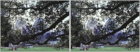Jardin botanique à Sydney