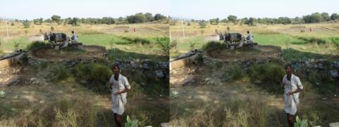 Irrigation par noria(2)