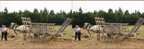 Charrette pour les moissons