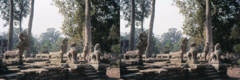 Temples d?Angkor : Nagas et chimères de granit, gardiens d?Angkor Tom au milieu de la jungle