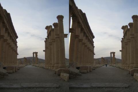 Palmyre - Colonnade