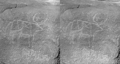 Hoggar : Une gravure rupestre sur un gros bloc de granite vertical.