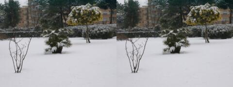 La neige