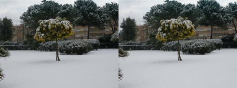 La neige