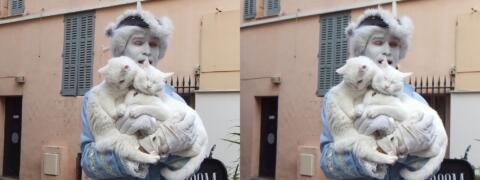 Cat Man Cannes est parmi nous...