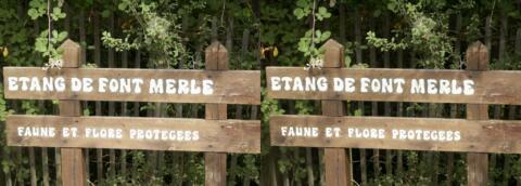 Faune et flore sont protégés