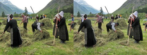 Fenaison à l'ancienne à bessans