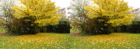 Aux tons d'automne