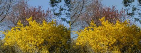 Couleurs printanières :