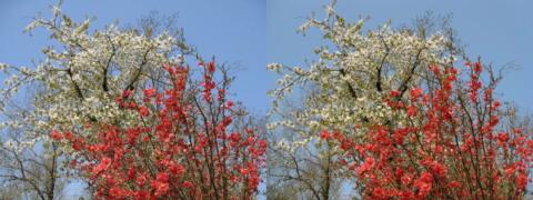 Couleurs printanières :