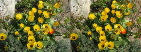 Couleurs printanières :