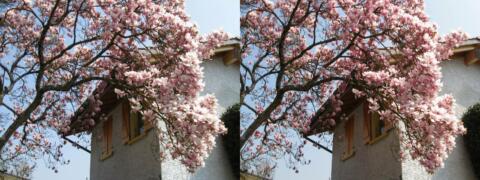 Couleurs printanières :